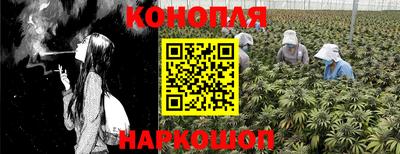 индика Краснознаменск