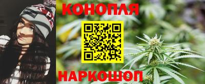 индика Краснознаменск