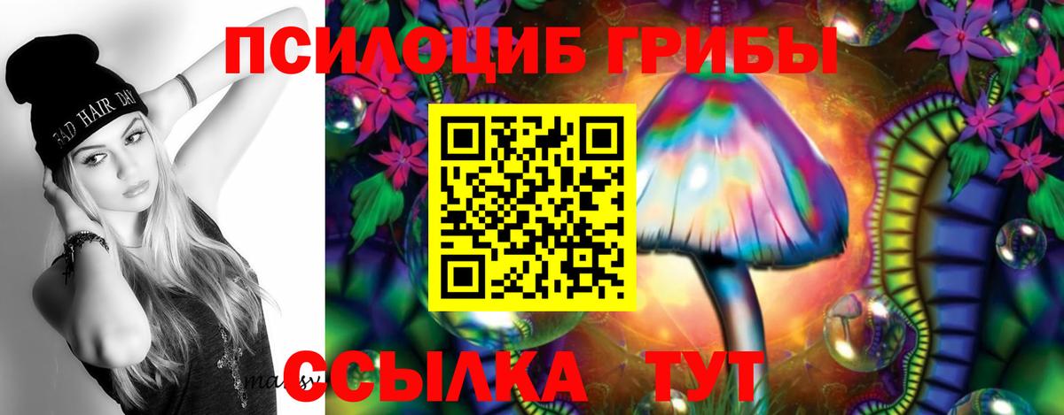 Псилоцибиновые грибы мицелий  Вход с VPN  Коряжма  Псилоцибиновые грибы MAGIC MUSHROOMS 